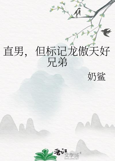直男,但标记龙傲天好兄弟