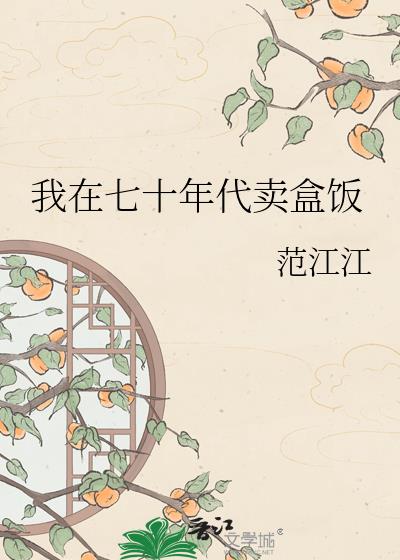 我在七十年代卖盒饭