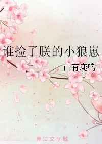 ˭�����޵�С����