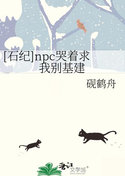 [ʯ��]npc�������ұ����