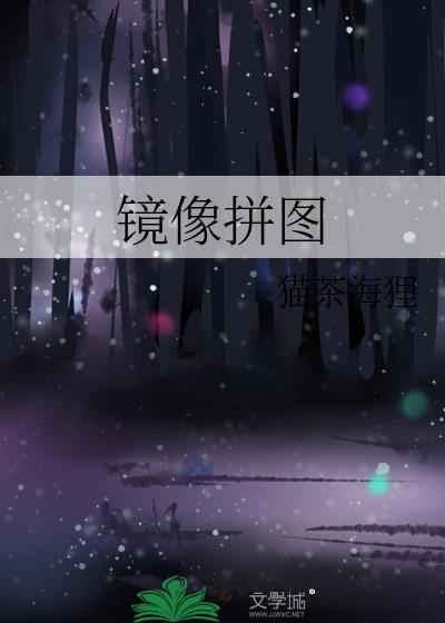 镜像拼图